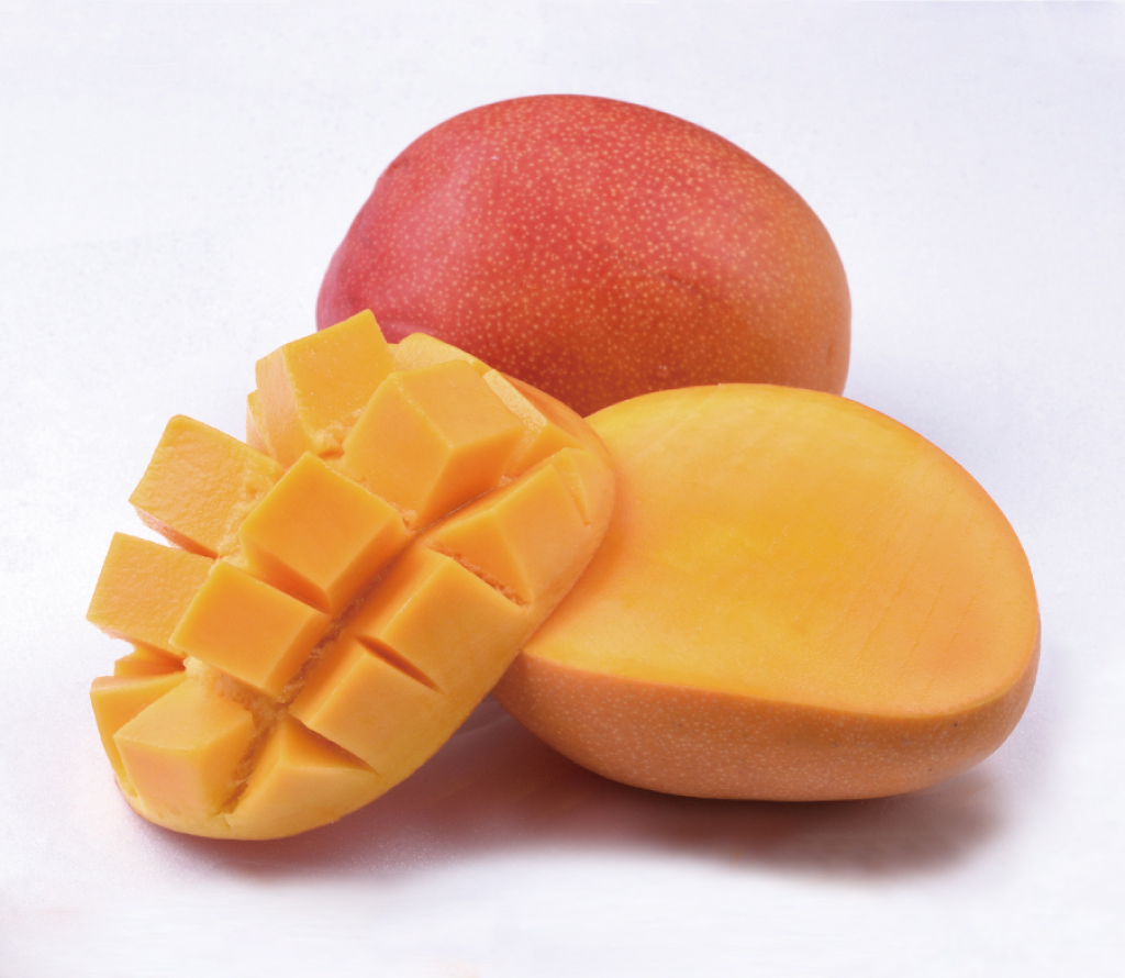 mango_2024_1024×890